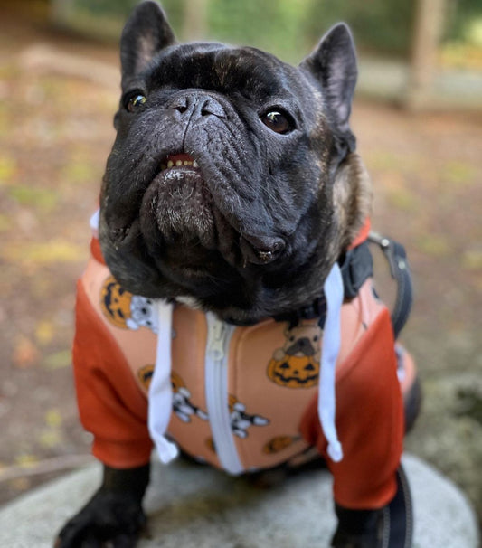 Halloween Time - French Bulldog Hoodie - Frenchie Bulldog Shop