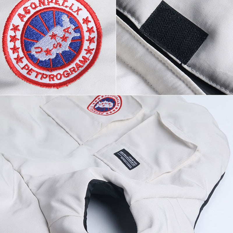 winter clothes for bulldogs